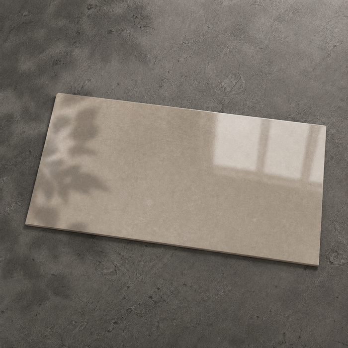 Dwell Greige 300x600mm Polished Finish Floor Tile — hero product shot