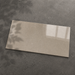 Dwell Greige 300x600mm Polished Finish Floor Tile — hero product shot