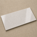 Kone Silver 300x600mm Polished Finish Floor Tile — hero product shot