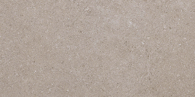 Kone Pearl 300x600mm Matte Finish Floor Tile — image 5