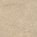 Victoria Beige 600x600mm Matte Floor/Wall Tile — image 6