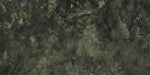 Marvel Dream Brazil Green 500x1200mm Gloss Finish Wall Tile — image 8