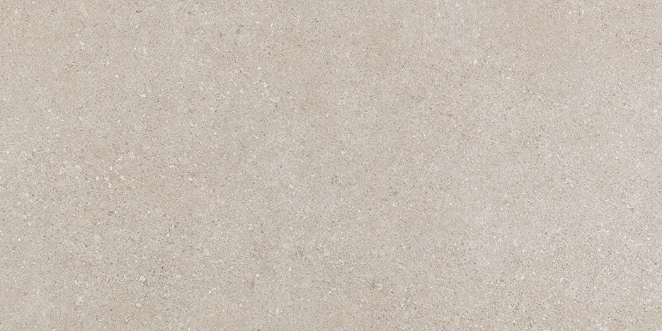 Kone Silver 450x900mm Matte Finish Floor Tile (1.21m2 box)