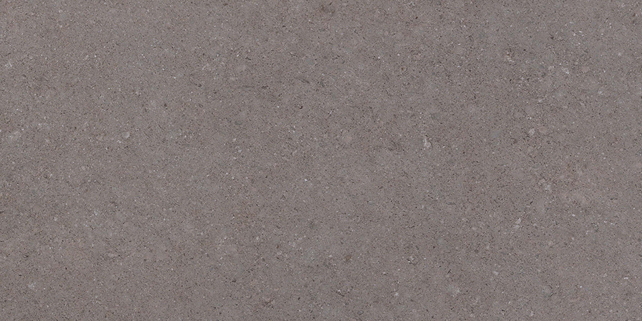 Kone Grey 450x900mm Matte Finish Floor Tile (1.21m2 box)