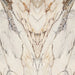Macchia Antica 1200x2800mm Matt Floor/Wall Tile (3.36m2 per box)