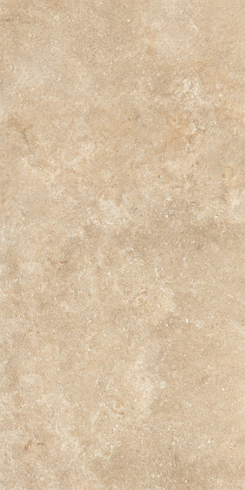 Chianca Carparo Brown 600x1200mm Matt Floor/Wall Tile (1.44m2 per box)