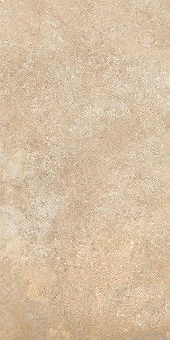 Chianca Carparo Brown 600x1200mm Matt Floor/Wall Tile (1.44m2 per box)