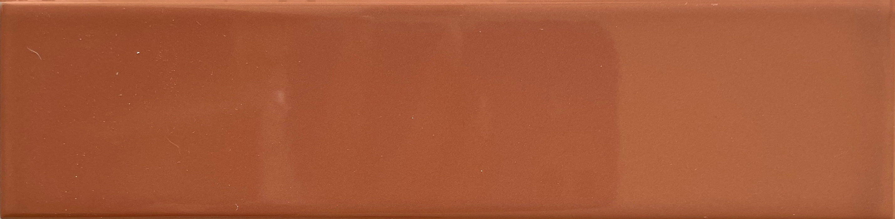 Dust Terrae Subway 50x200 Gloss Wall Tile (0.50m2 box)