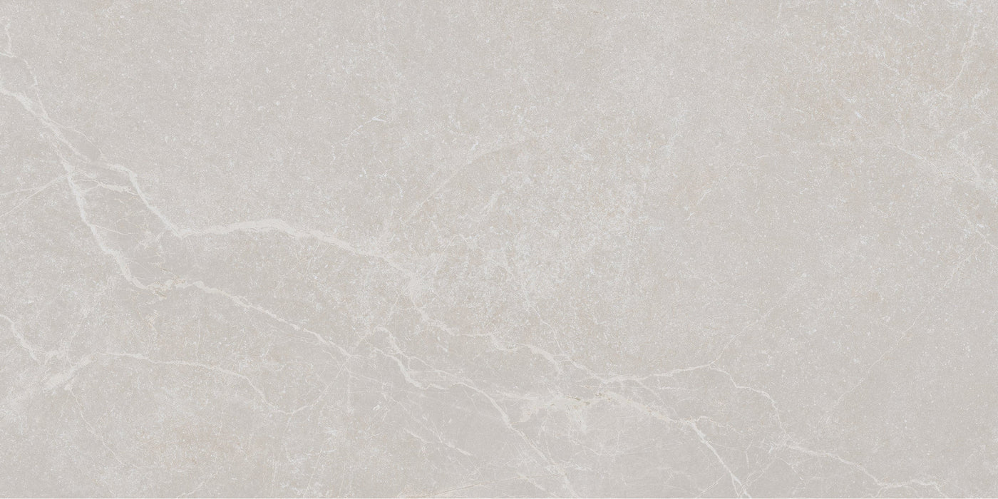 Noble Stone Grey 300x600mm Matt Floor/Wall Tile (1.26m2 per box)
