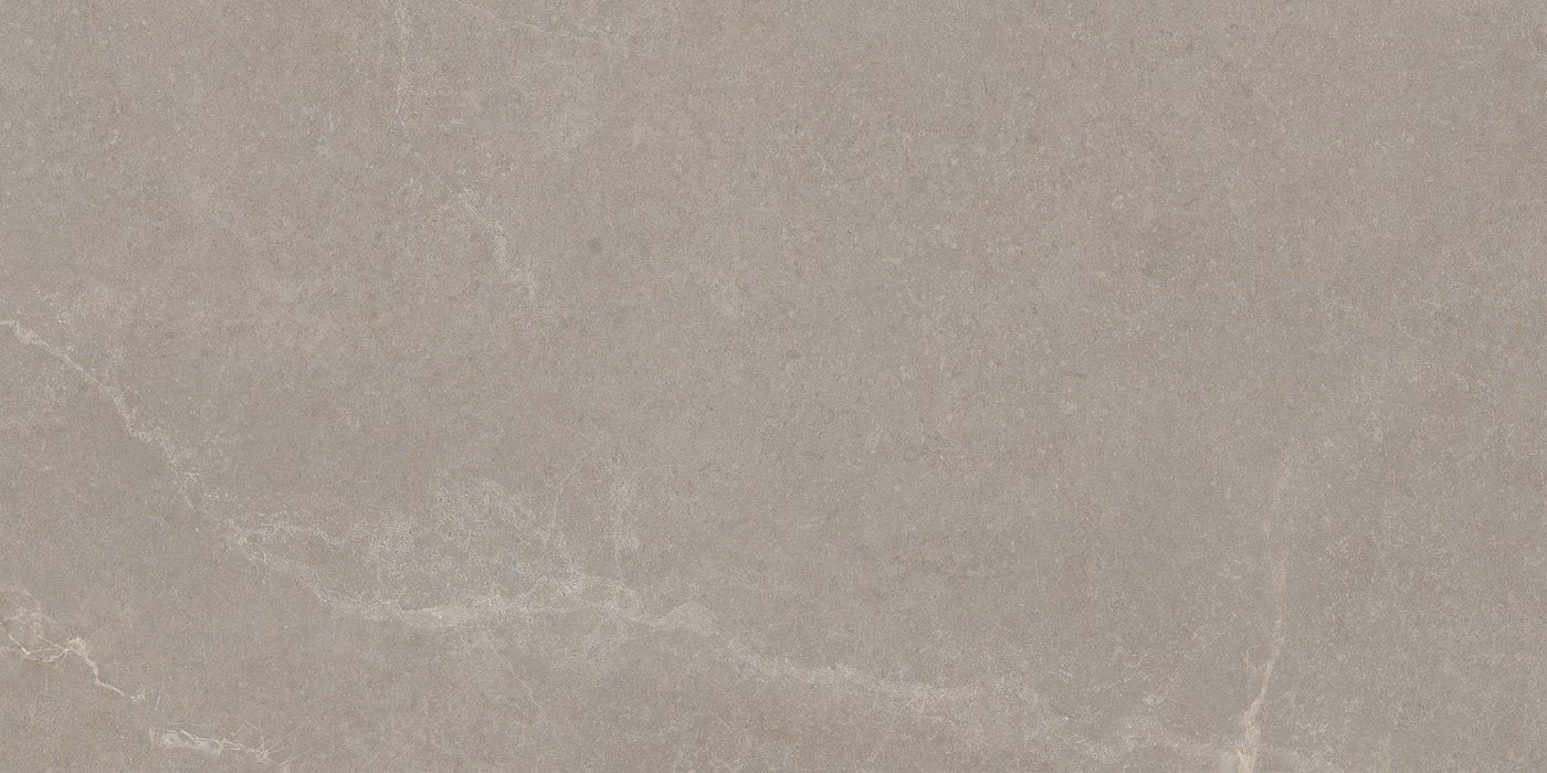 Noble Stone Taupe 300x600mm Matt Floor/Wall Tile (1.26m2 per box)