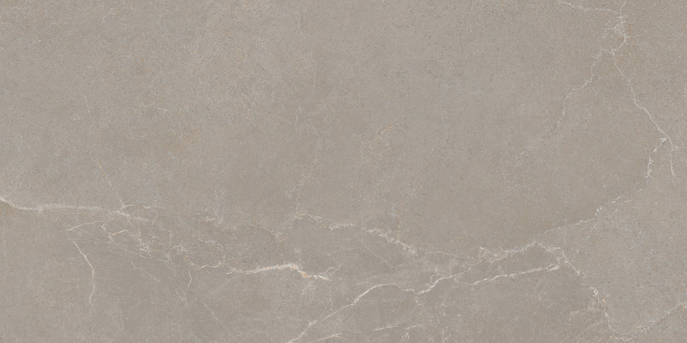 Noble Stone Taupe 300x600mm Matt Floor/Wall Tile (1.26m2 per box)