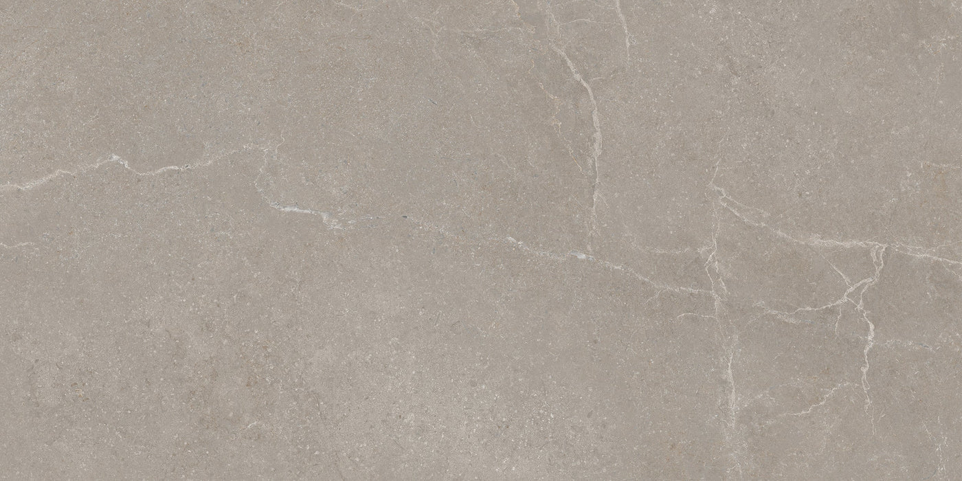 Noble Stone Taupe 300x600mm Matt Floor/Wall Tile (1.26m2 per box)