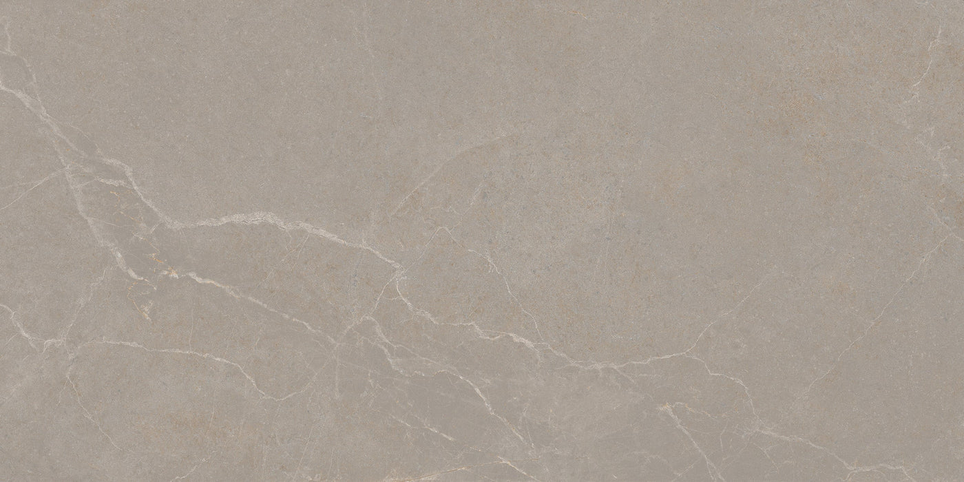 Noble Stone Taupe 300x600mm Matt Floor/Wall Tile (1.26m2 per box)