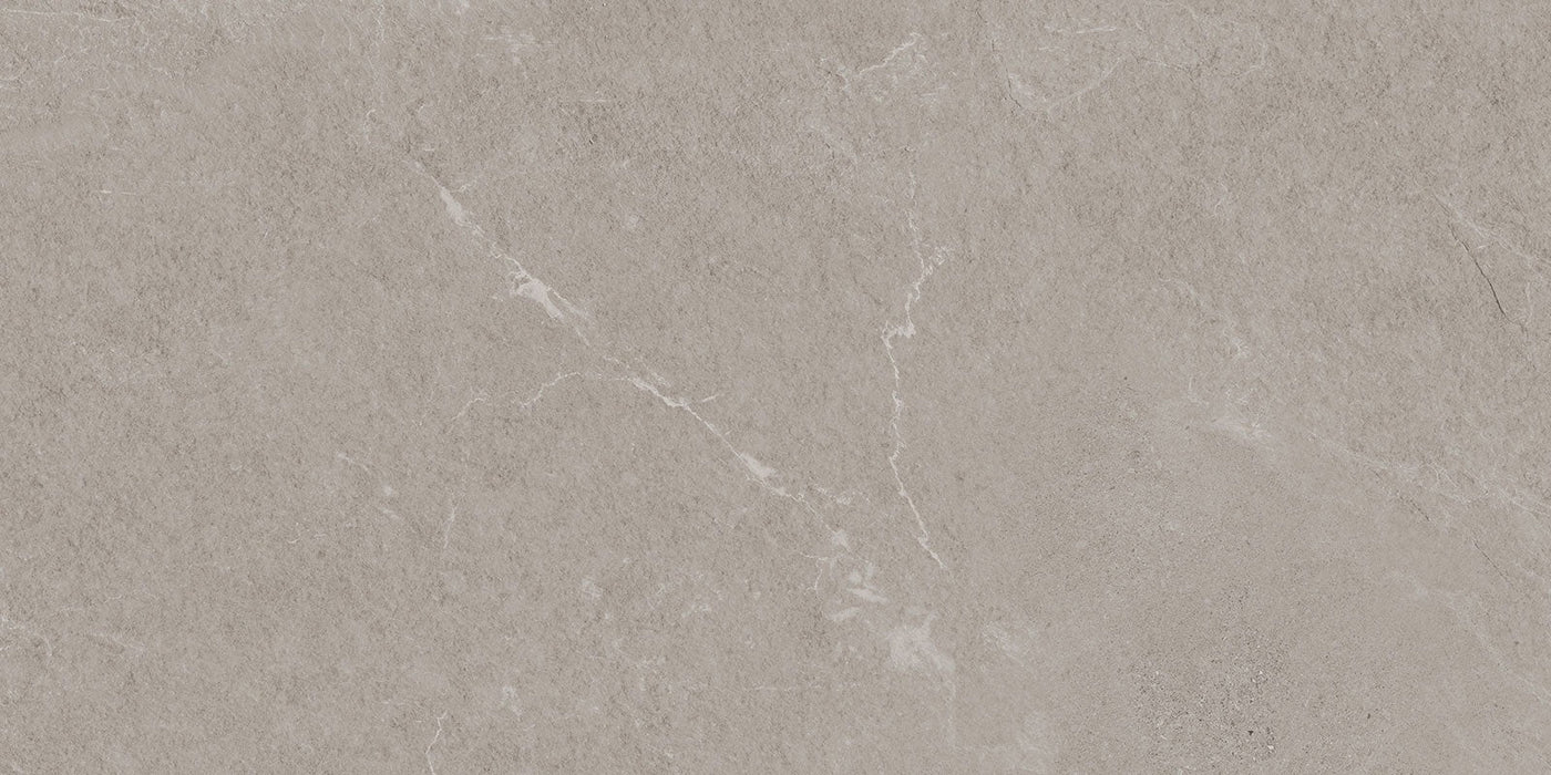 Angers Taupe 300x600mm Matte Floor/Wall Tile (1.26m2 per box)
