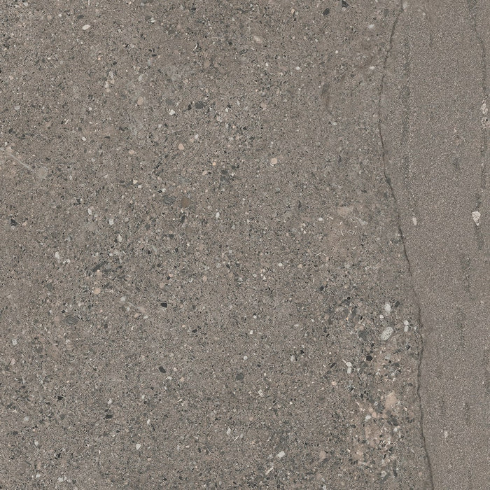 Victoria Turtledove 600x600mm Matte Floor/Wall Tile (1.08m2 per box)