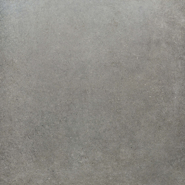 Loft Grey 600x600mm Matte Floor/Wall Tile (1.08m2 per box)