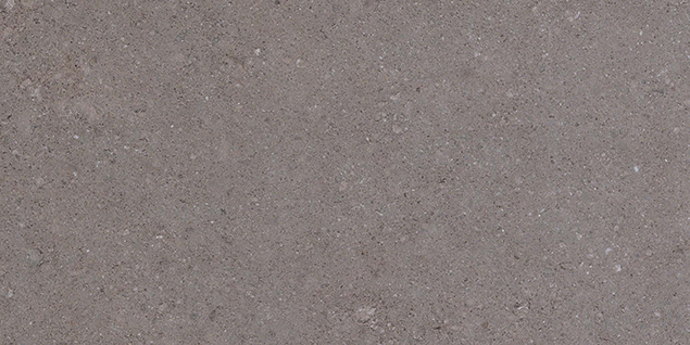 Kone Grey 300x600mm Matte Finish Floor Tile — image 4