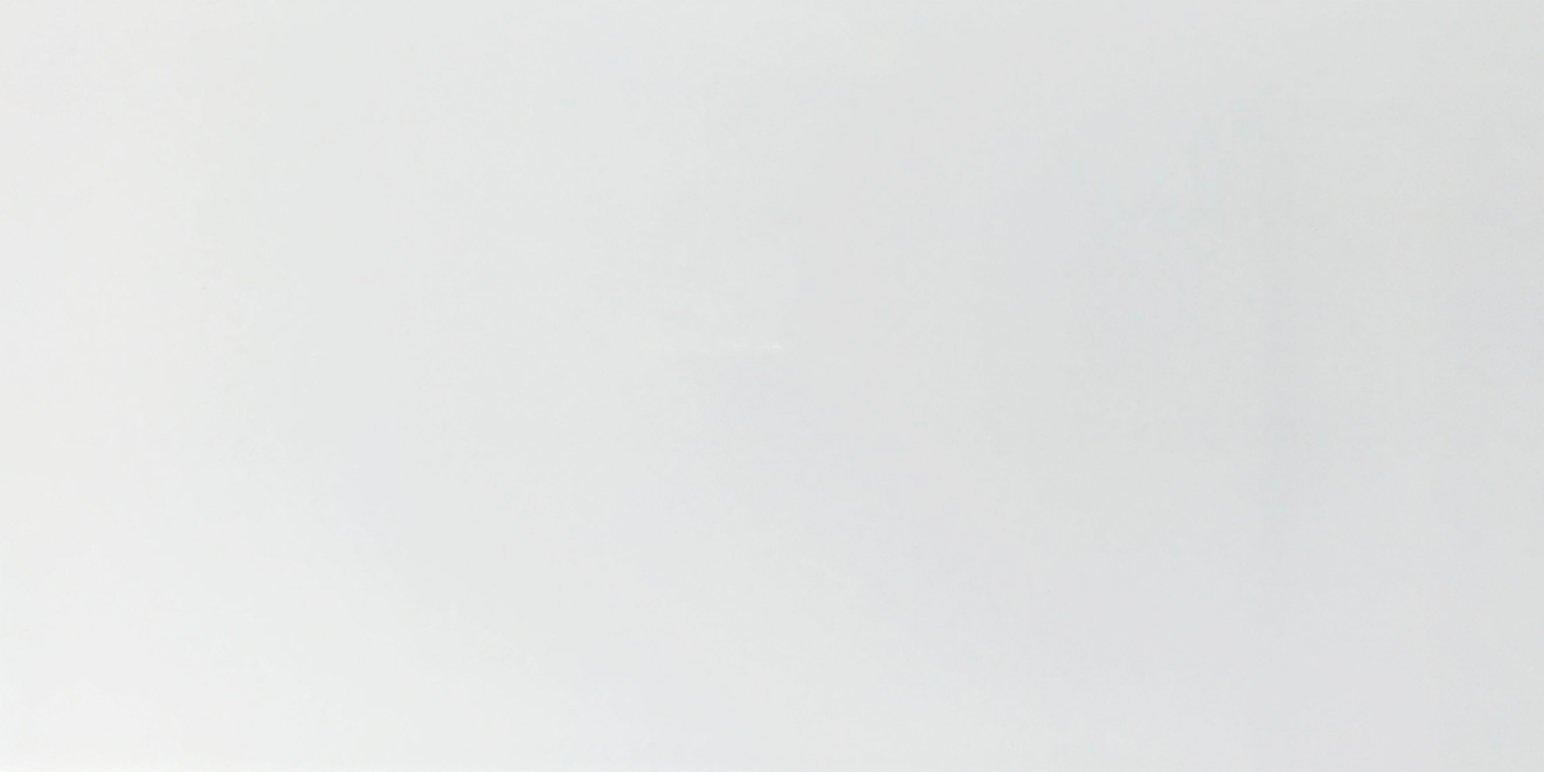 Sense White 300x600mm Gloss Wall Tile (1.44m2 box)
