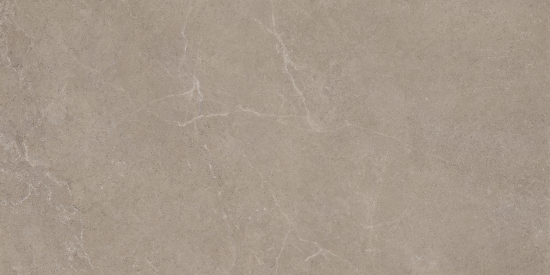 Storm Earth 600x1200mm Matte Floor/Wall Tile (1.44m2 box)